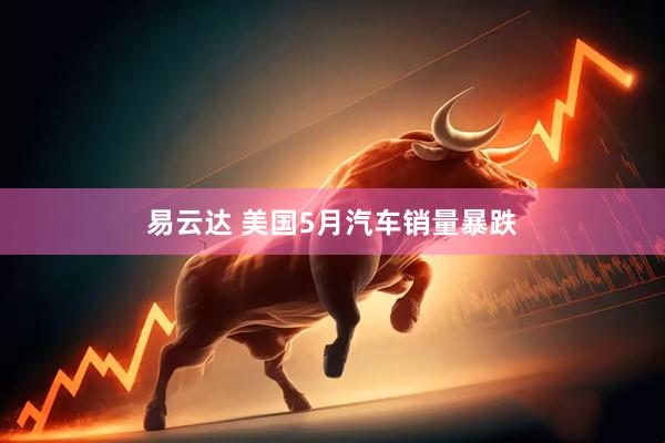 易云达 美国5月汽车销量暴跌