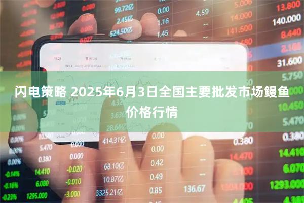 闪电策略 2025年6月3日全国主要批发市场鳗鱼价格行情