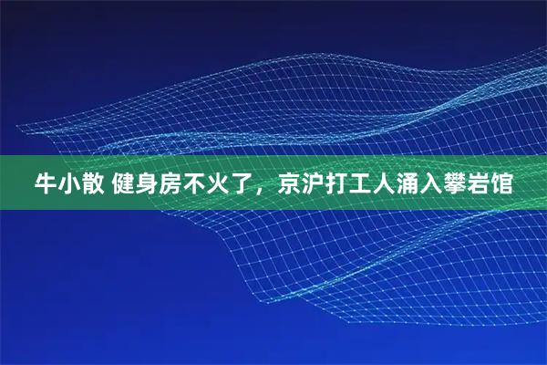 牛小散 健身房不火了,京沪打工人涌入攀岩馆